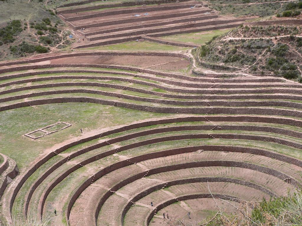 The Incas Farming