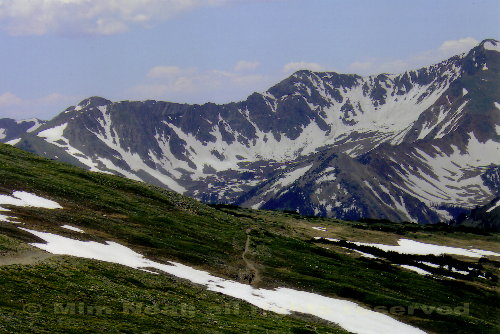 mountains and pine trees